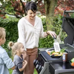Barbecue Gaz Rogue 365 R 2 Brûleurs - NAPOLEON -Gril Cuisine Boutique barbecue gaz rogue 365 serie r 2 bruleurs 2