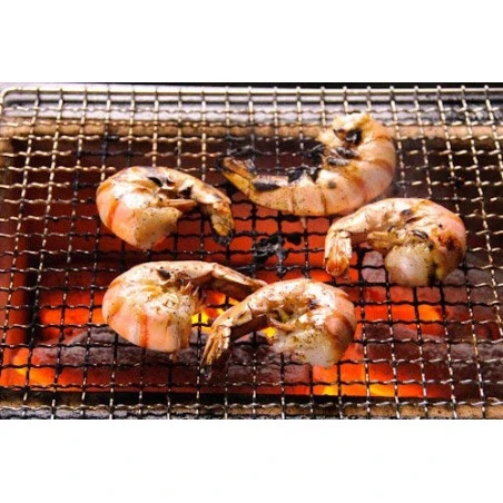 Barbecue Japonais Konro Stove 54 X 23 X 20 Cm BQ8WF 5 Barbecue Japonais Konro Stove 54 X 23 X 20 Cm BQ8WF – Image 5