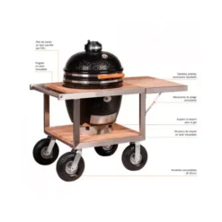 Chariot Buggy Classic + Tablette Laterale